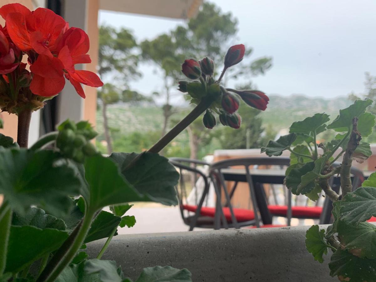 Apartmani Spomenka Seline Exterior foto